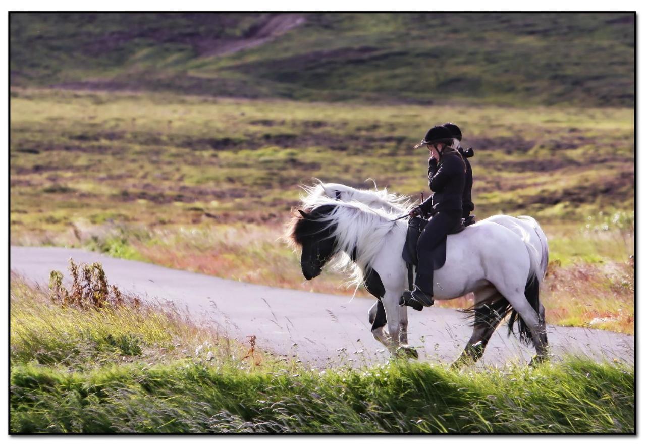 Hestaland Guesthouse Horse Farm Stay Statharhus Exterior foto